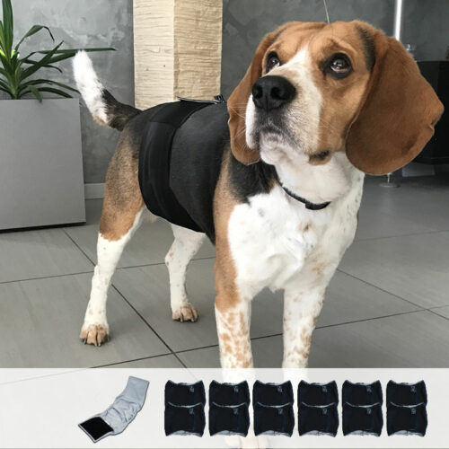 12 ceintures absorbantes lavables pour chien mâle (fuites urinaires)