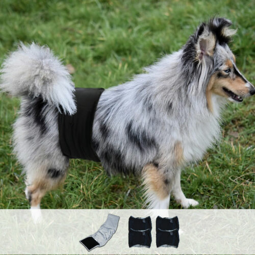 4 ceintures absorbantes lavables pour chien mâle (fuites urinaires)