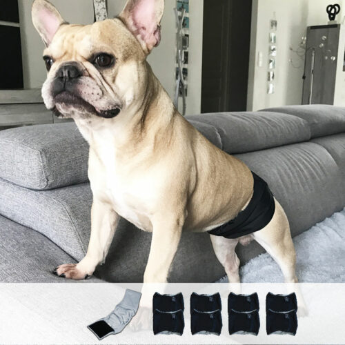 8 ceintures absorbantes lavables pour chien mâle (fuites urinaires)