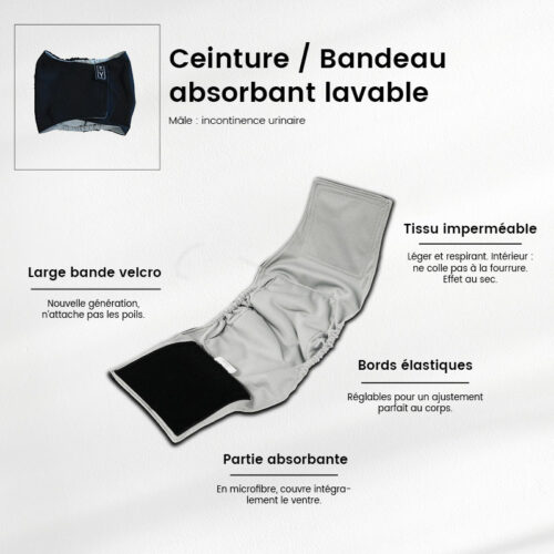 Ceinture absorbante lavable pour chien mâle (fuites urinaires)