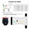 Couche absorbante lavable pour chien ou chat femelle (chaleurs) – Image 2