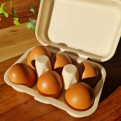 Boîte à 6 œufs – Ecodis