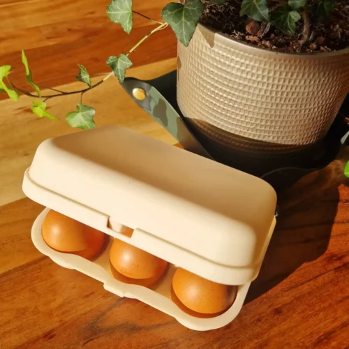 Boîte à 6 œufs – Ecodis