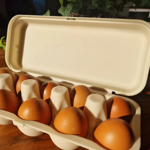 Boîte à 10 œufs – Ecodis