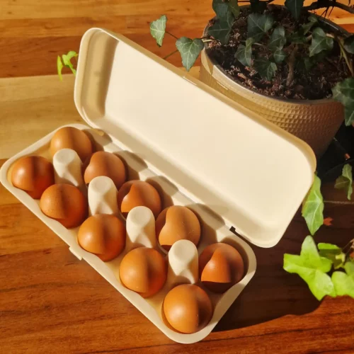 Boîte à 10 œufs – Ecodis