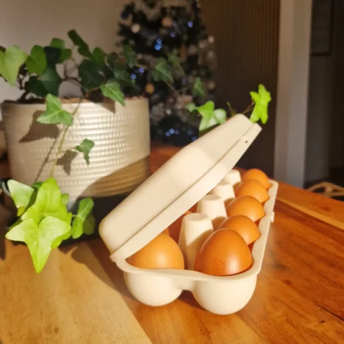 Boîte à 10 œufs – Ecodis