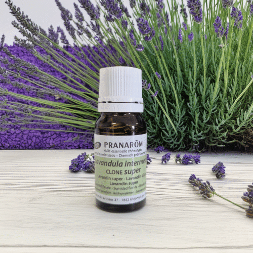 Huile essentielle de Lavande 10ml – Pranarôm
